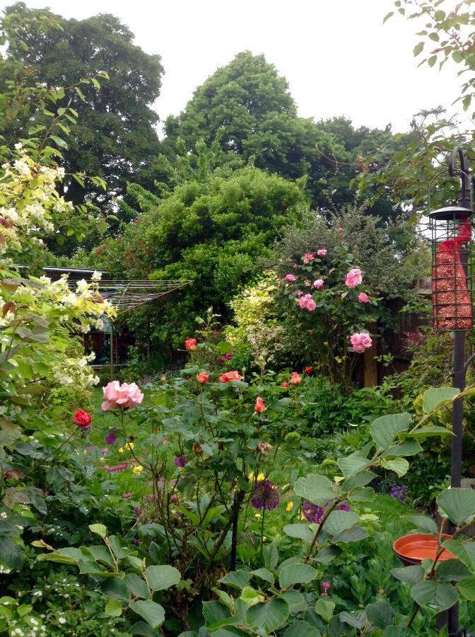 Hyacinth Bed & Breakfast Wellington  Exterior foto